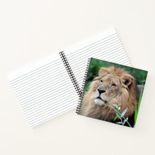 Lion 021 notebook