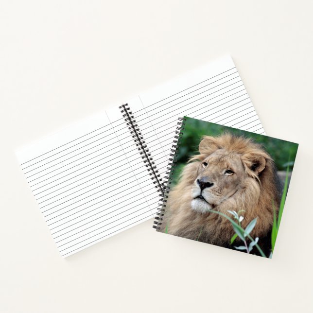 Lion 021 notebook (Inside)