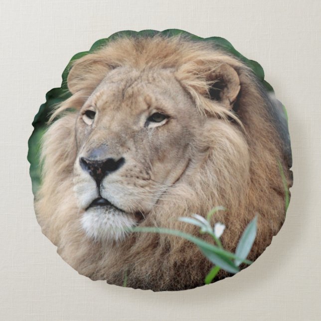Lion 021 round pillow (Front)