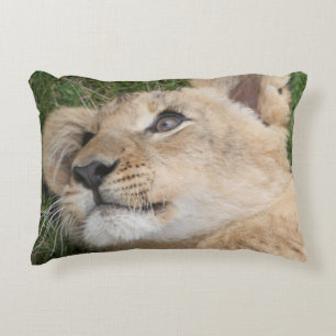 Lion 022 accent pillow
