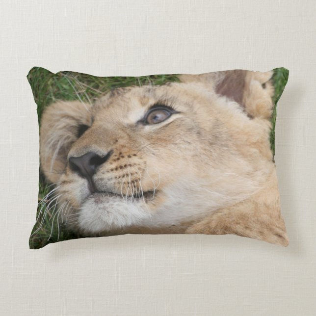 Lion 022 accent pillow (Front)