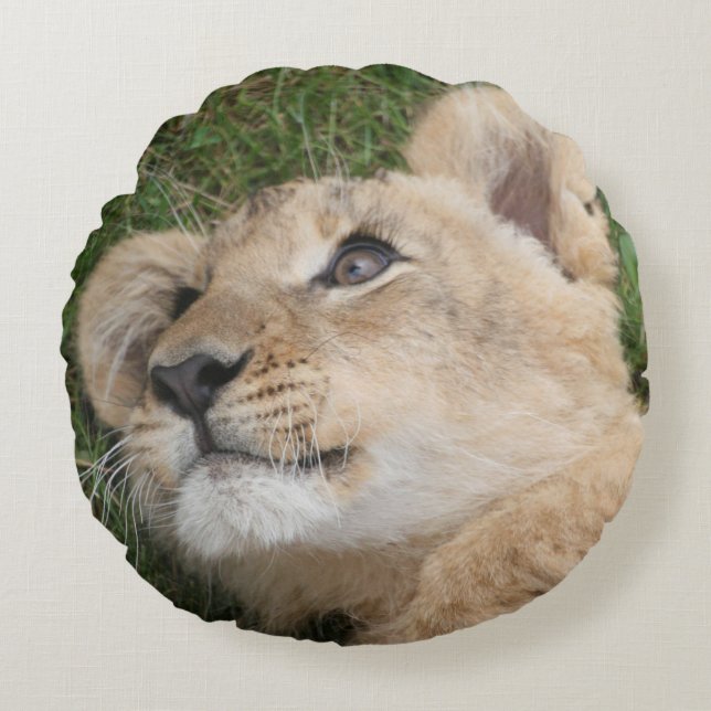 Lion 022 round pillow (Front)