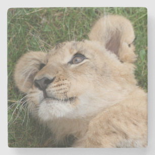 Lion 022 stone coaster