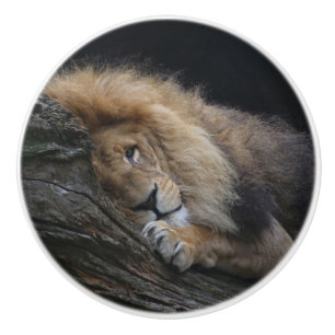 Lion 030 ceramic knob