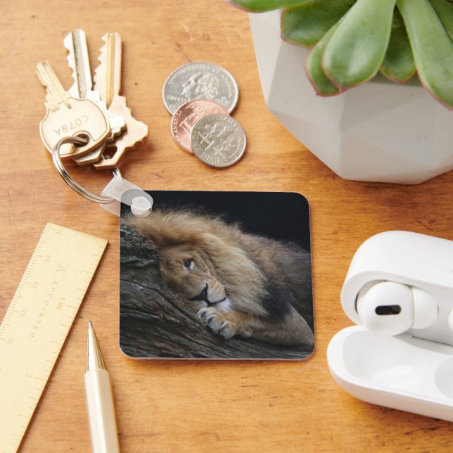 Lion 030 keychain (Desk)