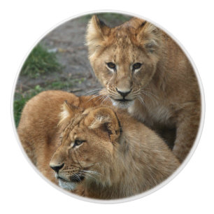 Lion 033 ceramic knob