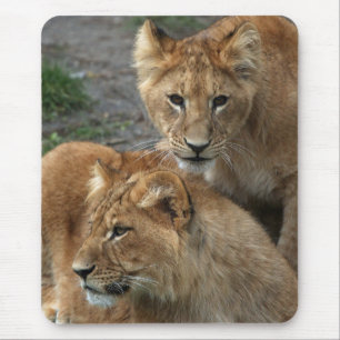 Lion 033 mouse pad