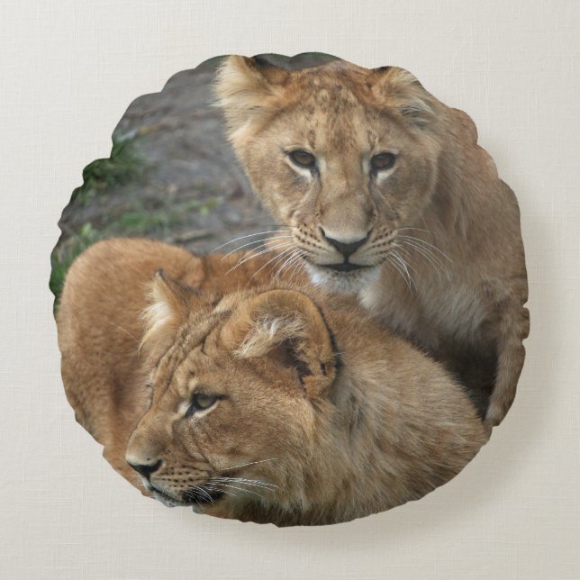 Lion 033 round pillow (Front)