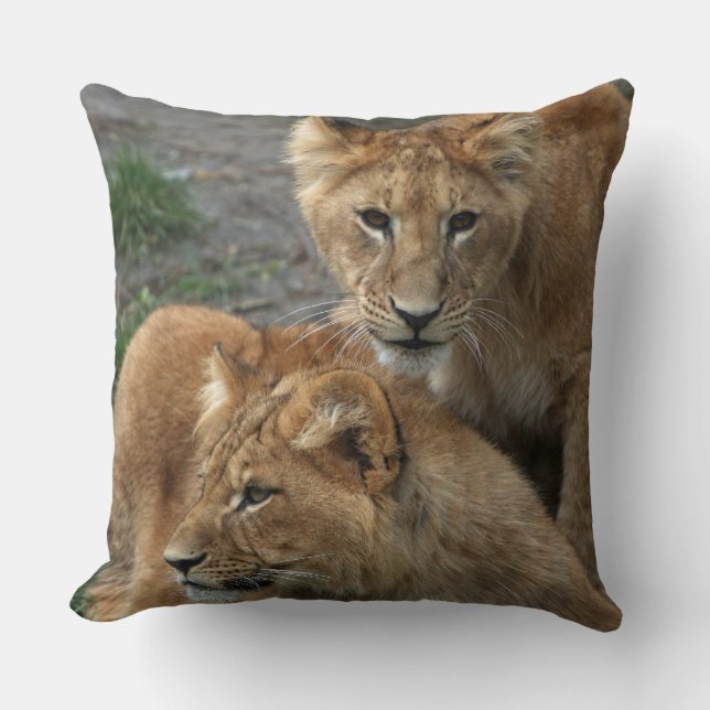Lion 033 throw pillow (Front)