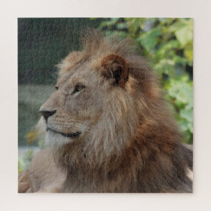 Lion 035 jigsaw puzzle