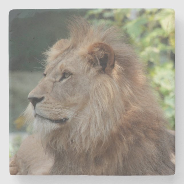Lion 035 stone coaster (Front)