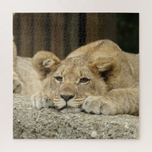 Lion 040 jigsaw puzzle