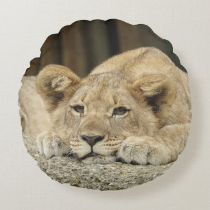 Lion 040 round pillow