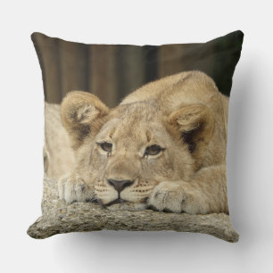 Lion 040 throw pillow