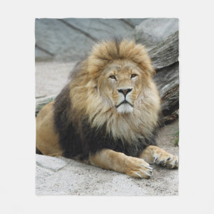 Lion_2014_1001 Fleece Blanket