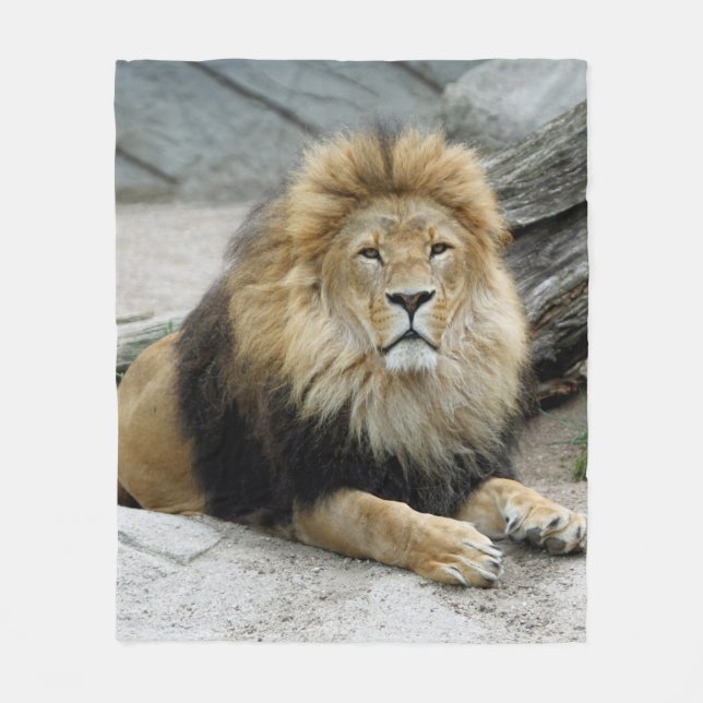 Lion_2014_1001 Fleece Blanket (Front)