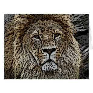Lion_2015_0501