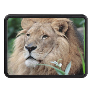 Lion_2015_0801 Trailer Hitch Cover