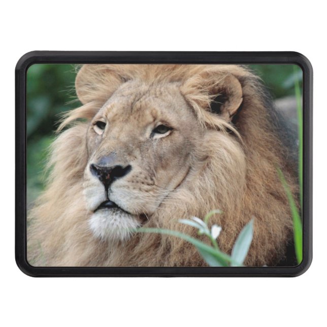 Lion_2015_0801 Trailer Hitch Cover (Front)