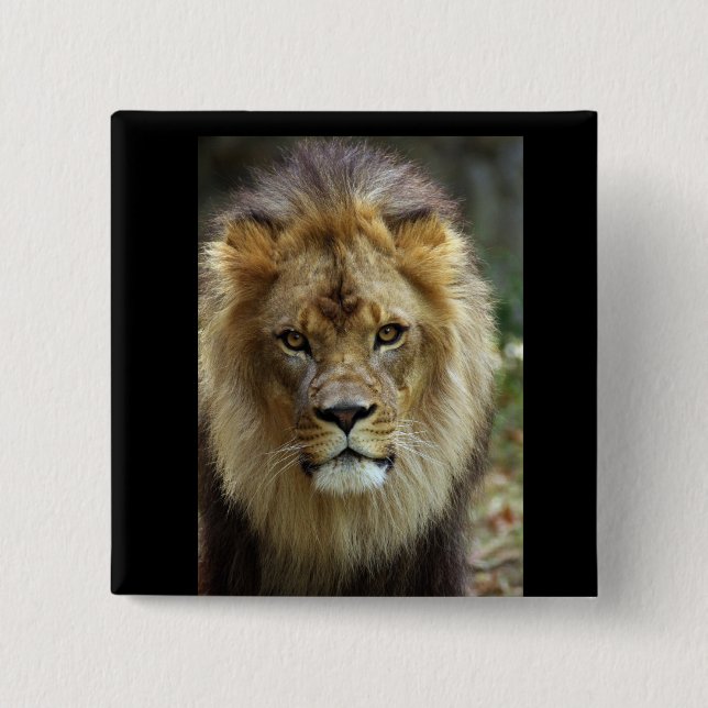 Lion 2 Inch Square Button (Front)