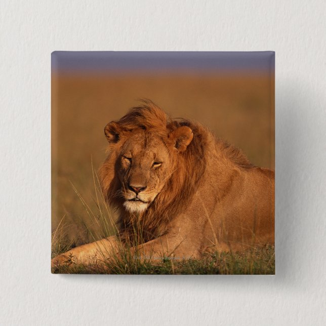 Lion 2 Inch Square Button (Front)