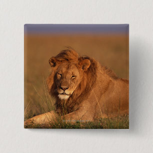 Lion 2 Inch Square Button