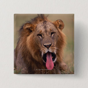 Lion 2 inch square button
