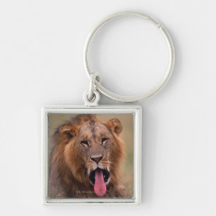 Lion 2 keychain