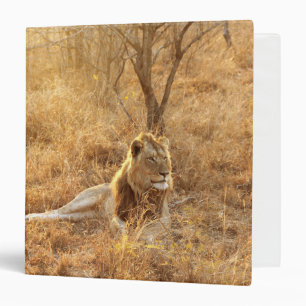 Lion 3 Ring Binder