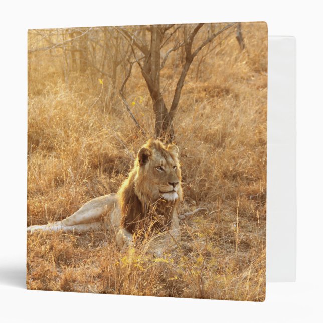 Lion 3 Ring Binder (Front/Inside)