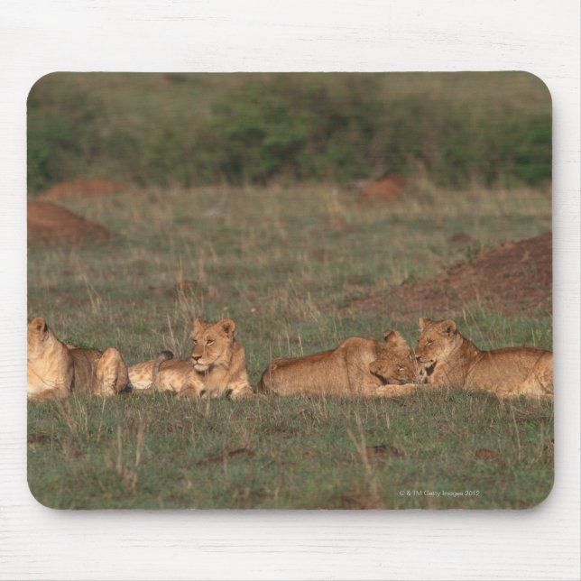 Lion 4 mouse pad (Front)