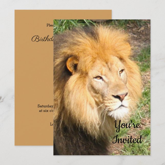 Lion 6918 Invitation d'anniversaire (Devant / Derrière)
