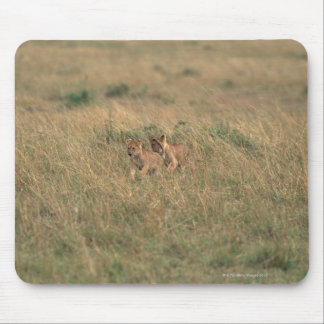 Lion 9 mouse pad