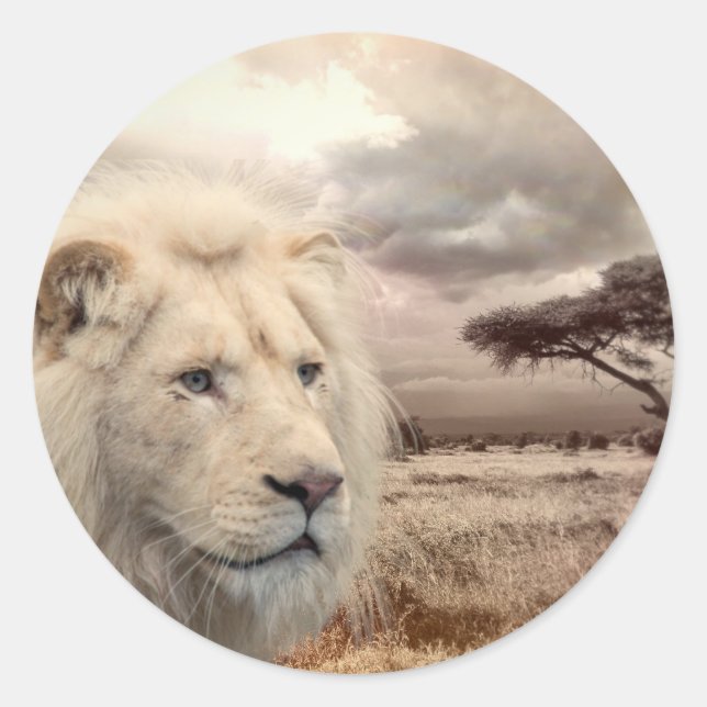 Lion à stickers (Devant)
