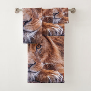 Lion africain