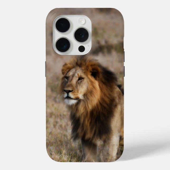Lion africain en Grass iPhone 7 Coque (Verso)