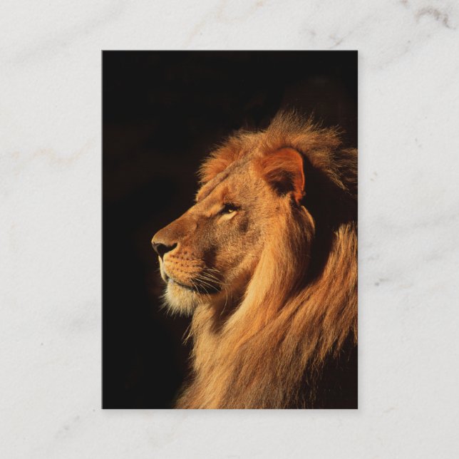 Lion africain puissant - Carte de visite à deux cô (Devant)