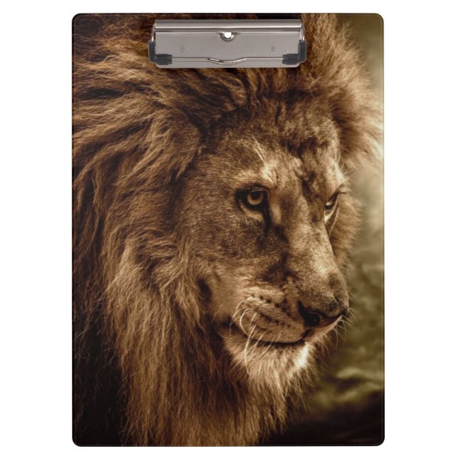 Lion against stormy sky clipboard (Front)