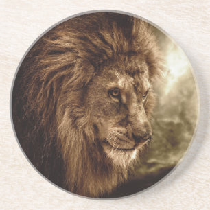 Lion against stormy sky coaster