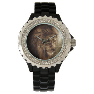 Lion against stormy sky watch