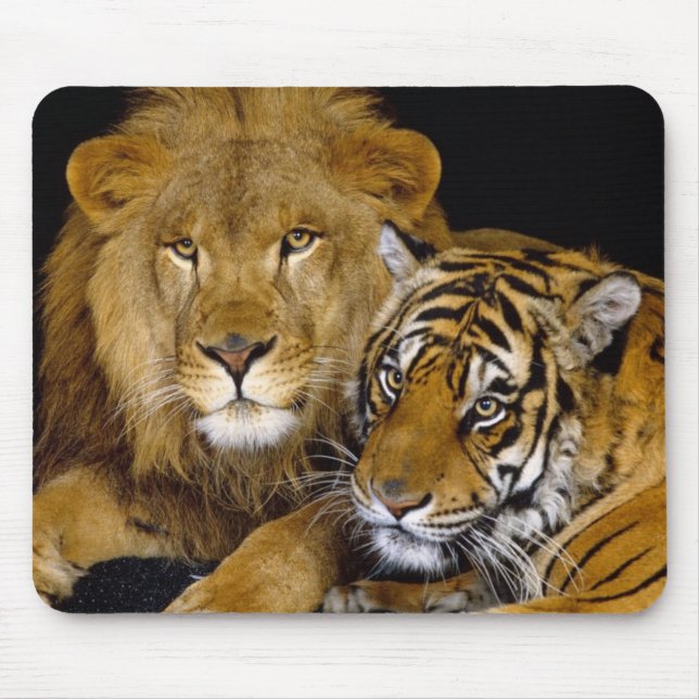 lion and a tiger mouse pad (Front)