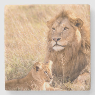Lion and Her Cub Stone Coaster