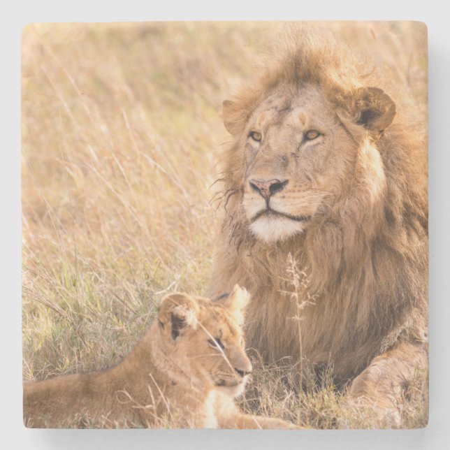 Lion and Her Cub Stone Coaster (Front)