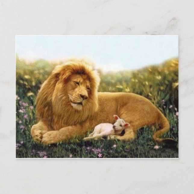 Lion and Lamb Postcard (Front)
