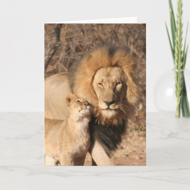Lion and Lion Cub Greeting Card (Front)