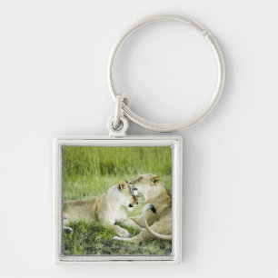 Lion and lioness, Africa 2 Keychain