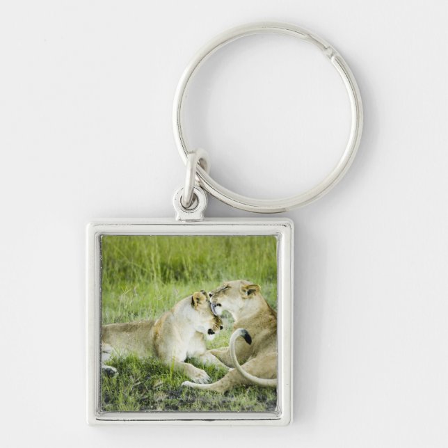 Lion and lioness, Africa 2 Keychain (Front)