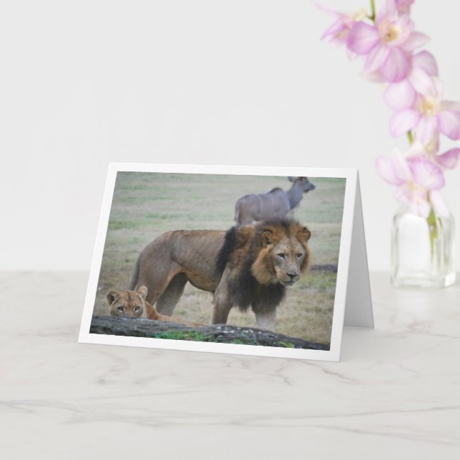 Lion and Lioness Card (Orchid)