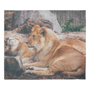 LION AND LIONESS LYING ON BROWN SURFACE DUVET COVER