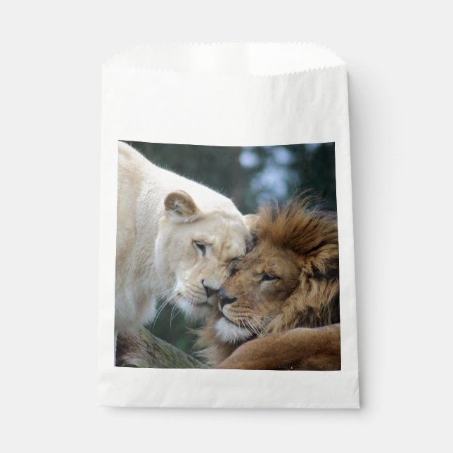 Lion and Lioness Nuzzling Favour Bag (Front)